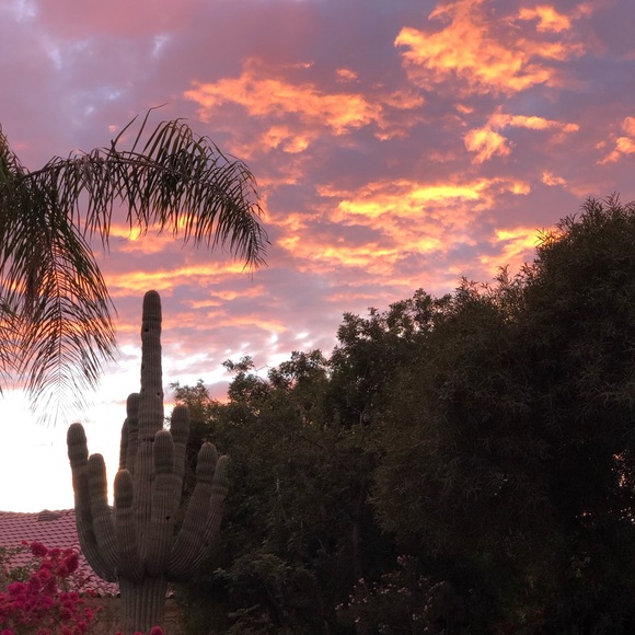 Meet your Posher, Robyn - Picture 1 of 1